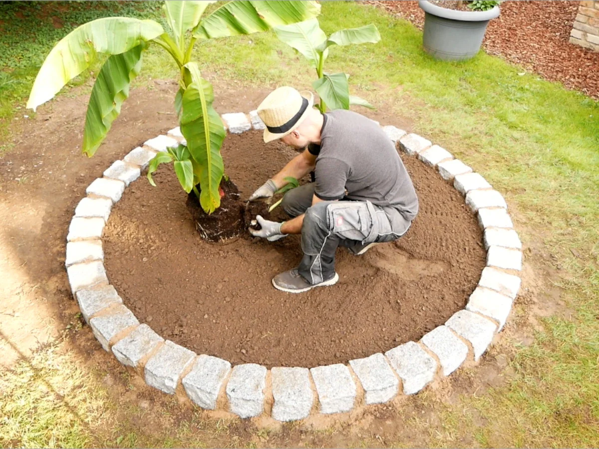 Creating a Root Barrier Bed for Bamboo, Bananas, and Spreading Plants