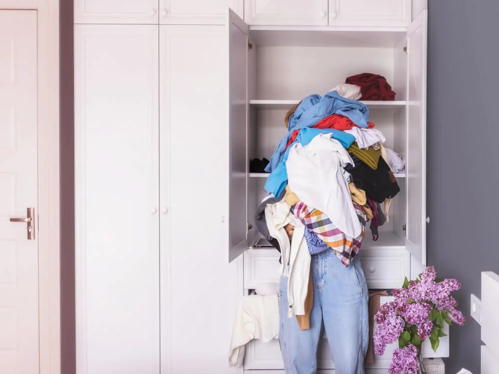 Fly Lady versus Simplify Your Life