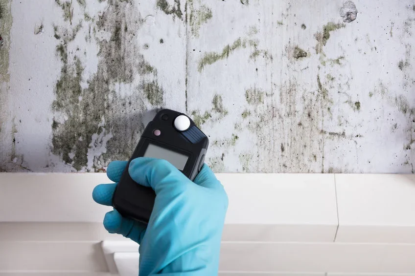 Humidity in the Home: What Signs Should Alert You and How to React?